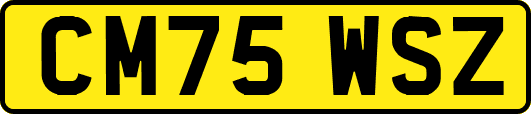 CM75WSZ