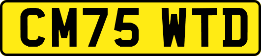 CM75WTD