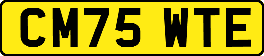 CM75WTE