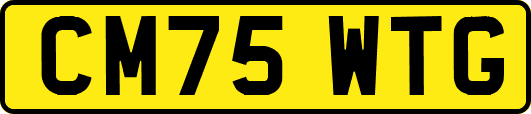 CM75WTG