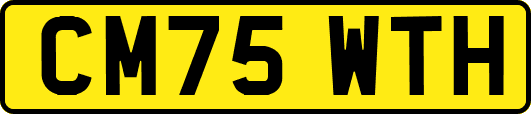 CM75WTH