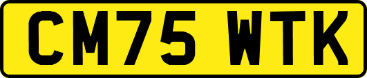 CM75WTK