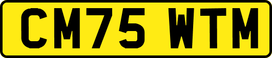 CM75WTM
