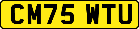 CM75WTU