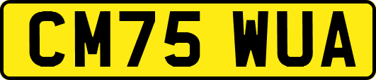 CM75WUA