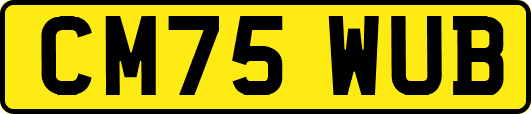 CM75WUB