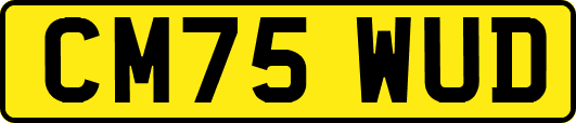 CM75WUD