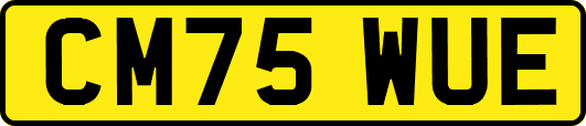CM75WUE