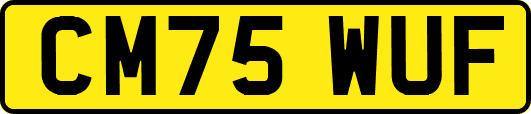 CM75WUF