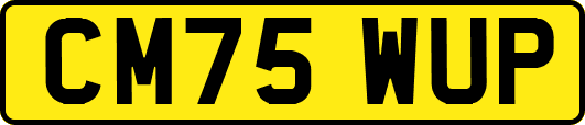 CM75WUP