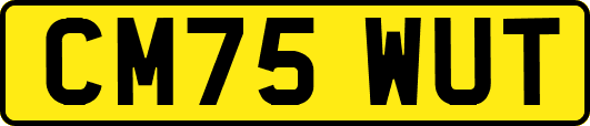 CM75WUT