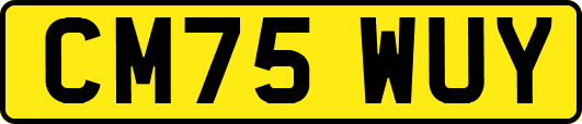 CM75WUY