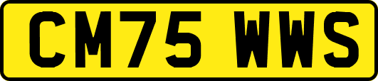 CM75WWS
