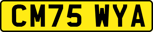 CM75WYA