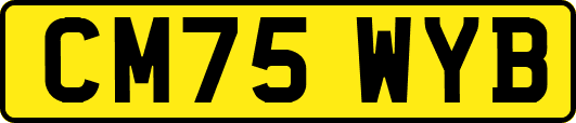 CM75WYB