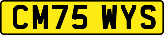 CM75WYS