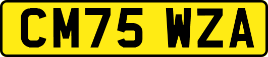 CM75WZA