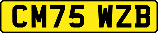 CM75WZB