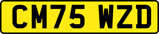 CM75WZD
