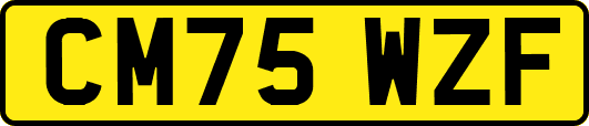 CM75WZF
