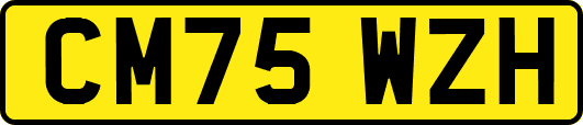 CM75WZH