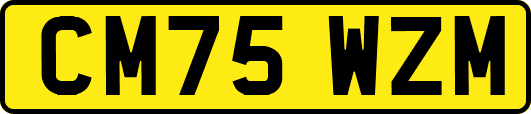 CM75WZM