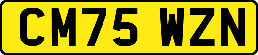 CM75WZN