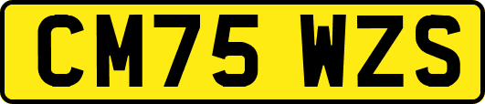 CM75WZS