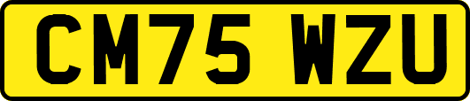 CM75WZU