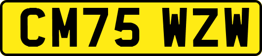 CM75WZW
