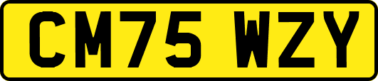 CM75WZY