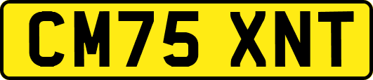 CM75XNT