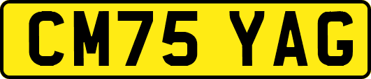 CM75YAG