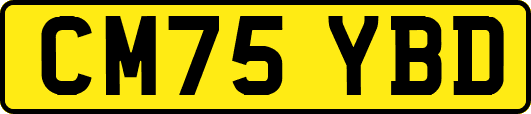 CM75YBD