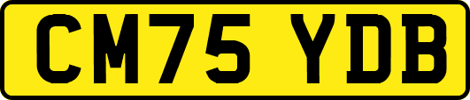 CM75YDB