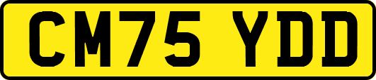CM75YDD