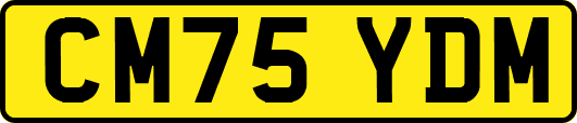 CM75YDM