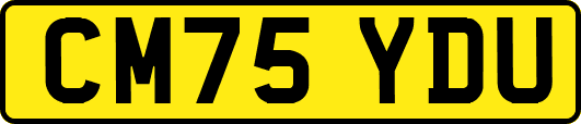 CM75YDU