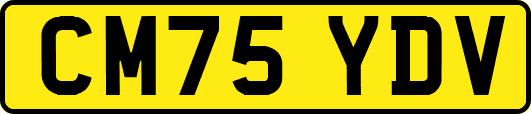 CM75YDV