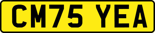 CM75YEA