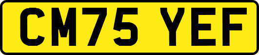 CM75YEF