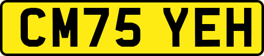 CM75YEH