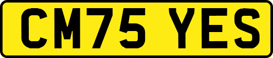 CM75YES