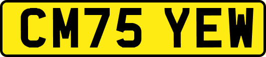 CM75YEW