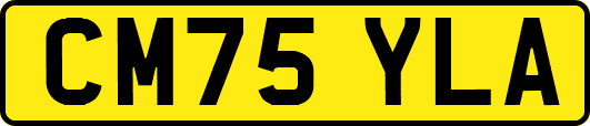 CM75YLA