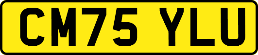 CM75YLU