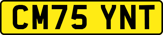 CM75YNT