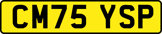 CM75YSP