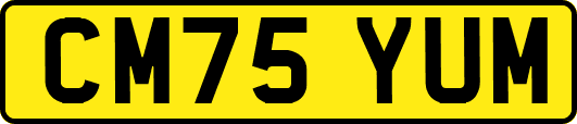 CM75YUM