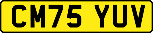 CM75YUV